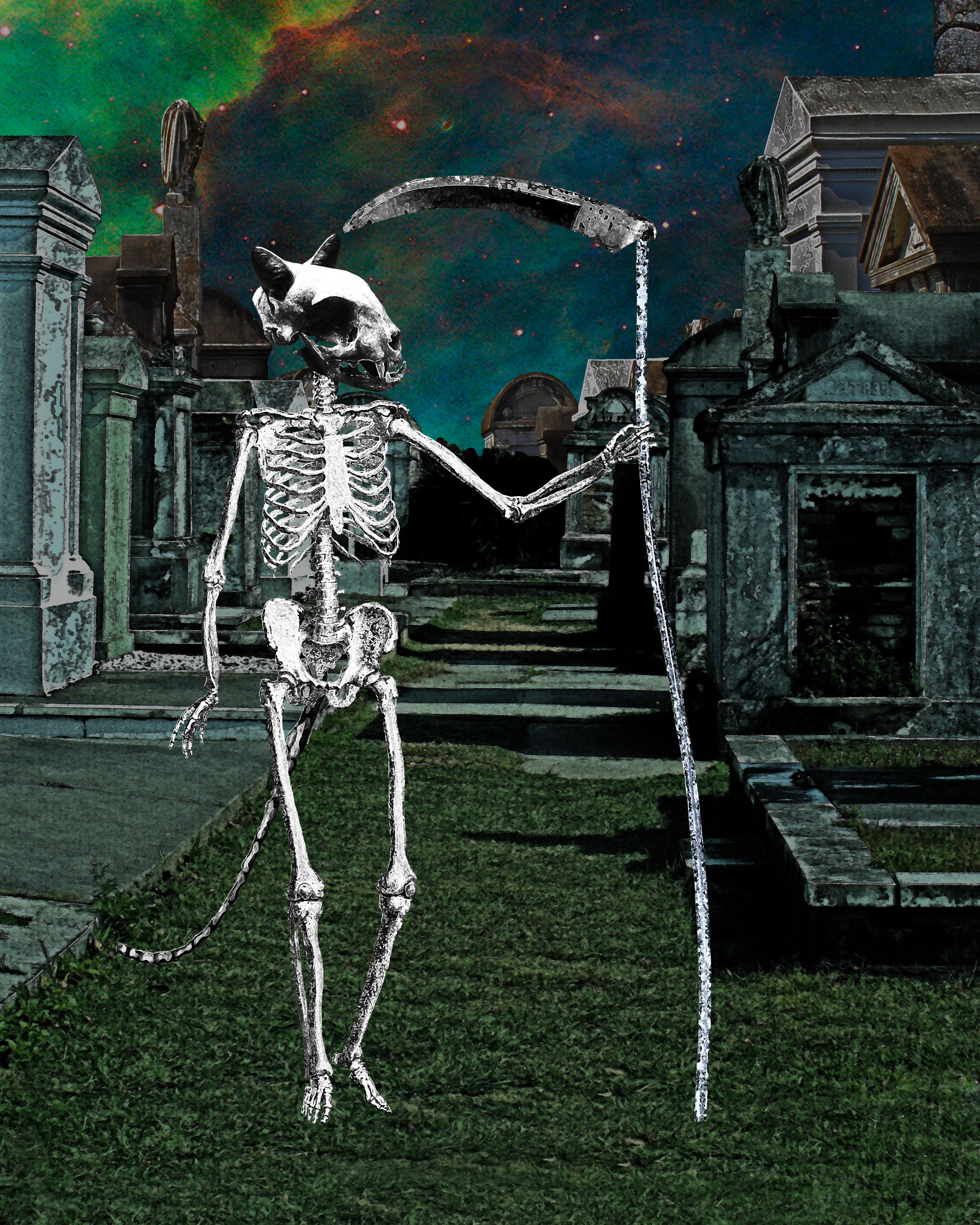 The Death Tarot Card from the Deck of the New Orleans Tarot Cats