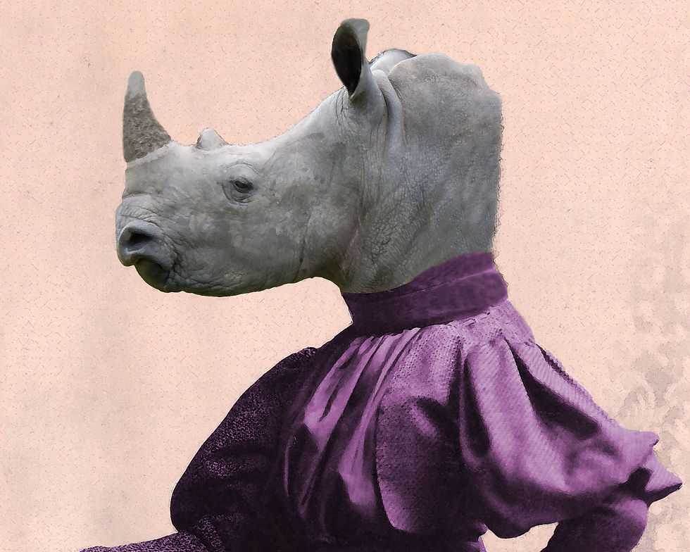 Victorian Portrait photograph of Lady Rhino as anthro lady rhinoceros