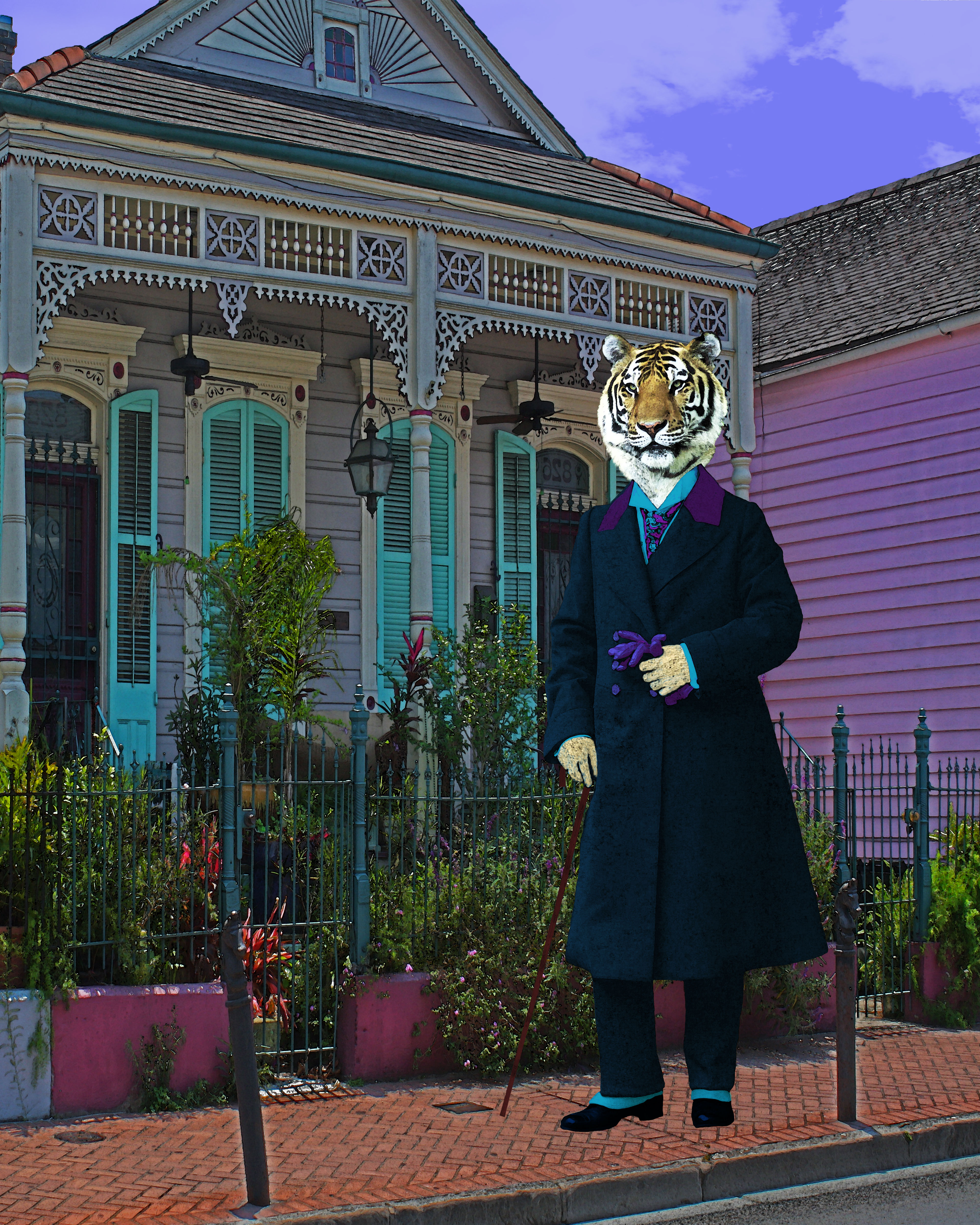 Gentleman Tiger Out for a Stroll in New Orleans French Quarter