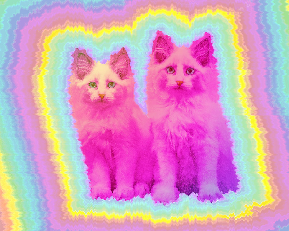 FLUFFY KITTEN Cat a la Louis Wain Rainbow