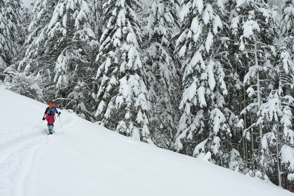 Les sapins chargés