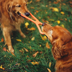 Tug of War