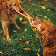 Tug of War