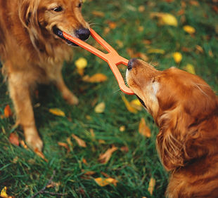 Tug of War