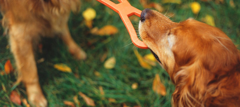 Tug of War