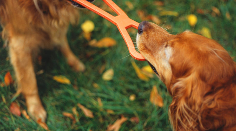 Tug of War