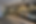 8A5CBCC2-246E-455E-B750-4F9C0FECC238.PNG