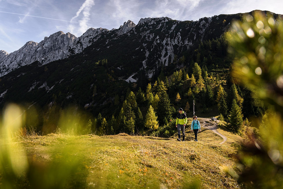 Brentenjoch_Hochegg Weinbergerhaus Wandern_102021_14(c)Max Draeger.jpeg