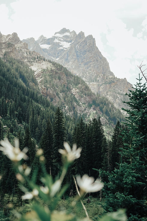 scenic-view-mountains-against-sky.jpg