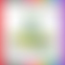 FND-SS-116: อุปกรณ์บริหารขา-สะโพก (แบบแกว่งตัวคู่)