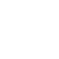 ins icon white_4x.png