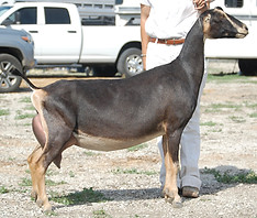 DSC_1592.jpg