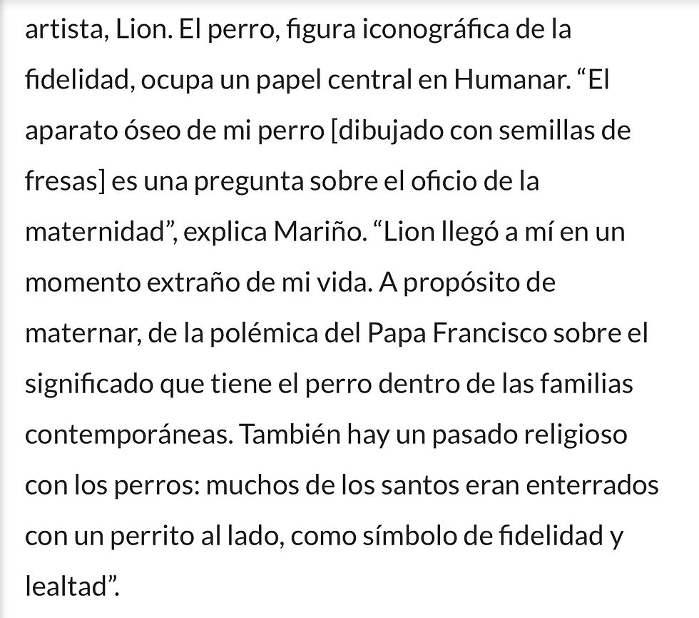 17 - Los atronadores silencios de Margaret Mariño