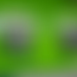 Which? finds free-to-use ATMs are disappearing