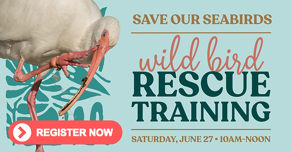 Rescue Training FB Cover (2).png
