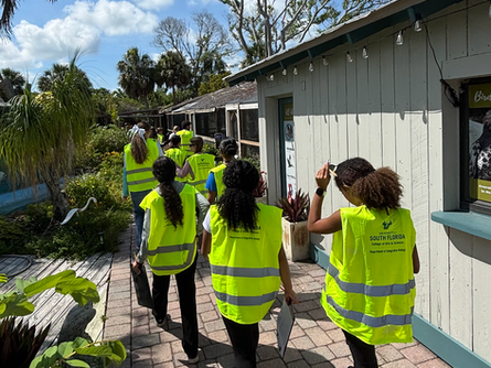 Inspired by curiosity: Students and experts explore red tide