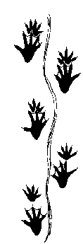 image70.gif
