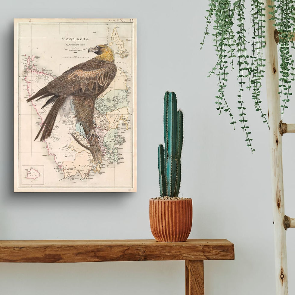 Thumbnail: Wedge-tailed Eagle on a vintage map of Tasmania