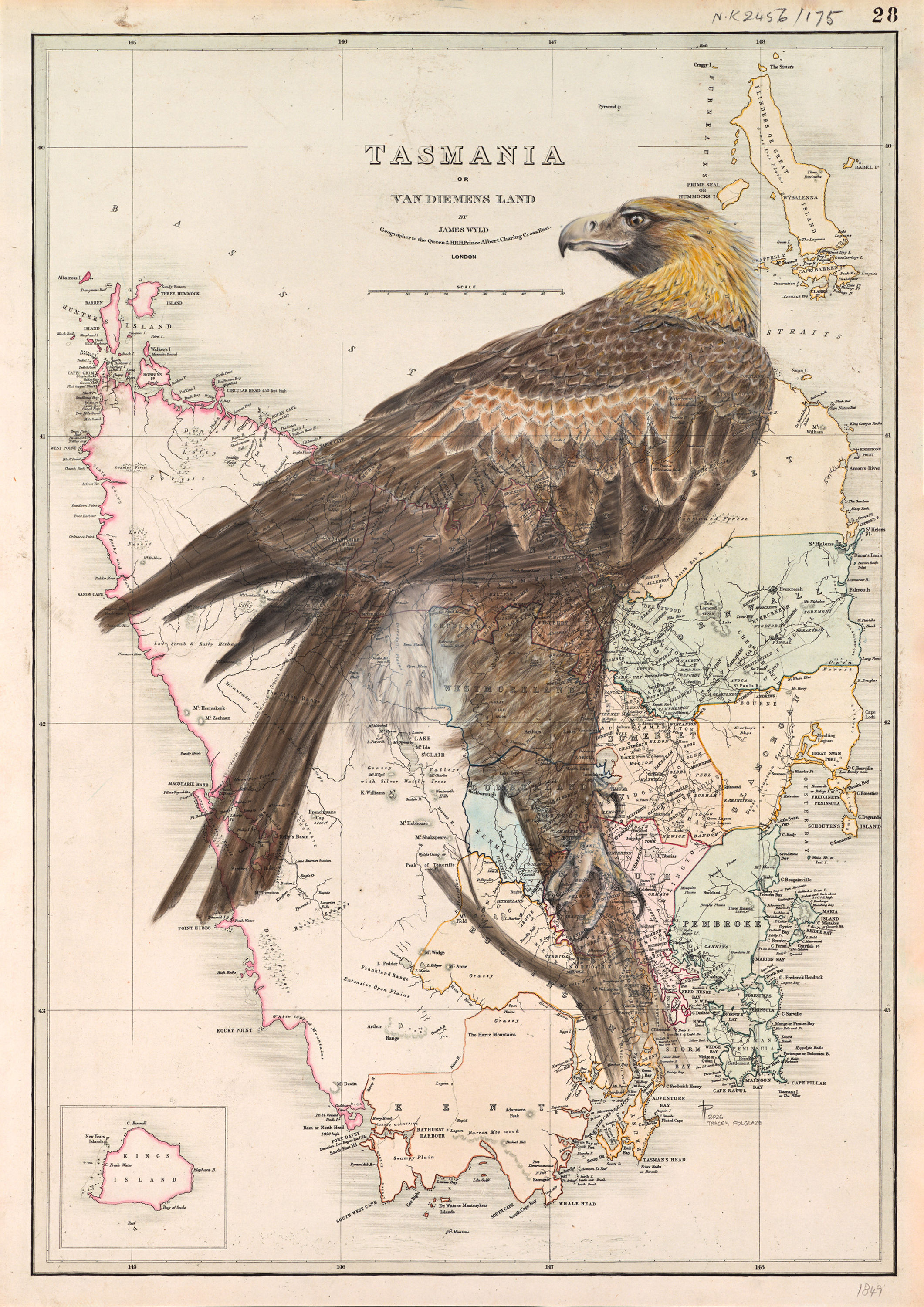 Wedge-tailed Eagle on a vintage map of Tasmania