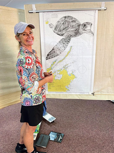 Artist Tracey Polglaze drawing a Hawksbill turtle on a marine chart