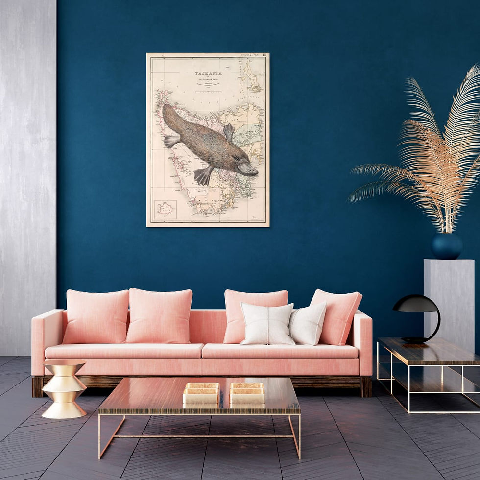 Thumbnail: Platypus on a vintage map of Tasmania artwork in a living room