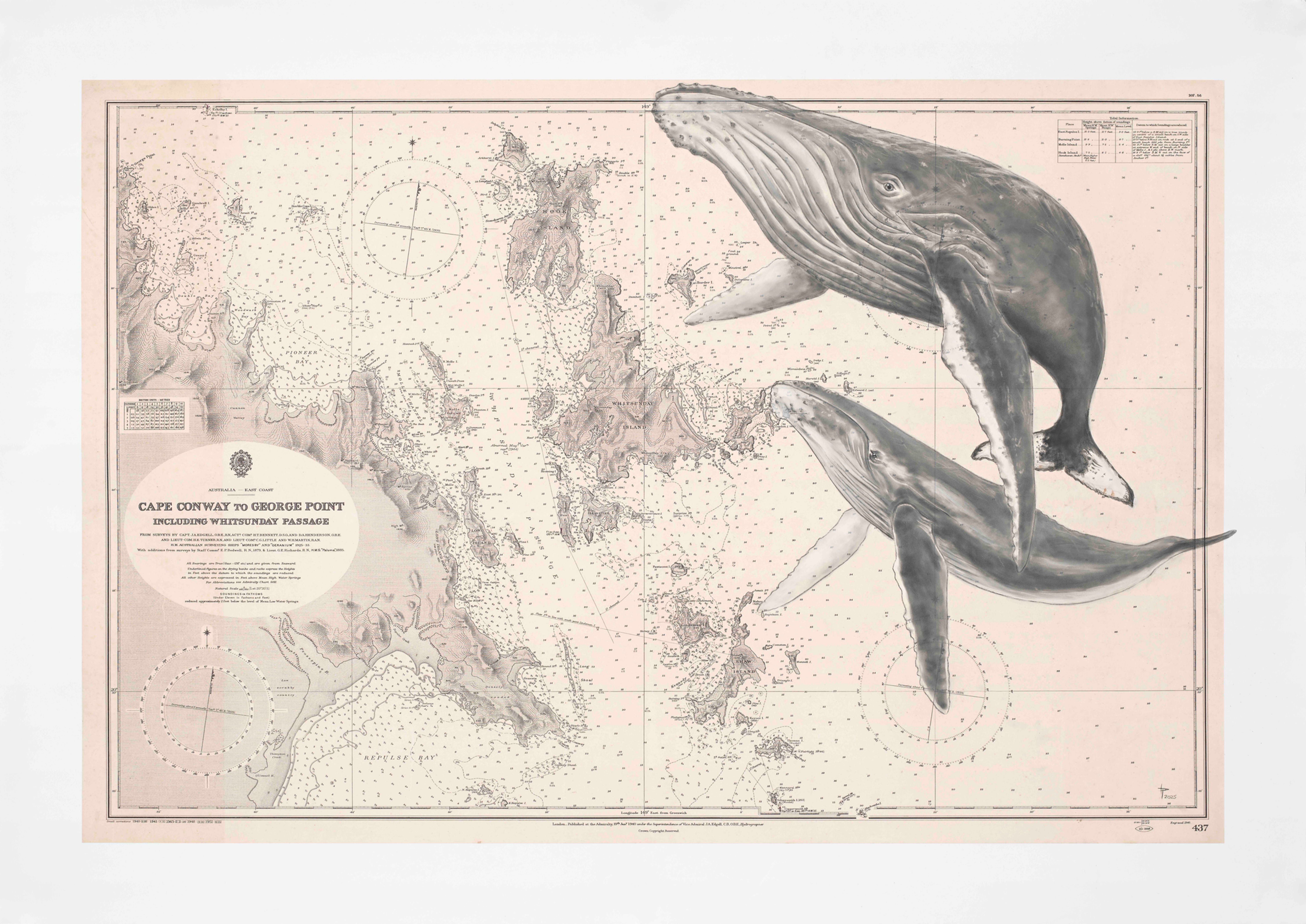 Humpback whale and her calf original artwork on a historic Whitsundays map