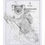 Thumbnail: Koala and baby artwork on a historic Queensland map