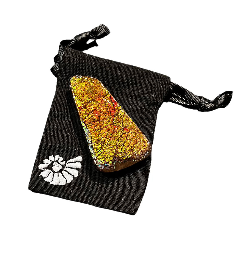 Thumbnail: Ammolite Freeform
