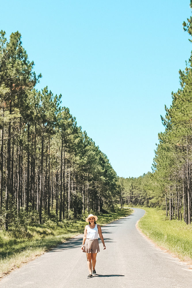 Wild Horse Mountain Lookout A guide to the most scenic lookouts in the