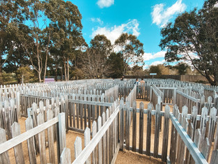 Granite Belt Maze Stanthorpe