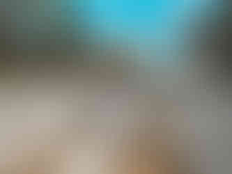 Granite Belt Maze Stanthorpe