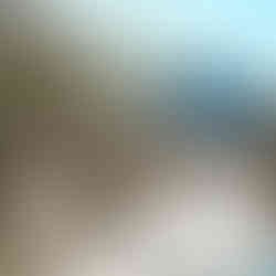 Summit Estate Cellar Door