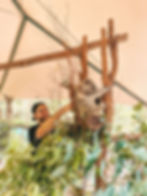 Koala encounter, Koala patting, Australia Zoo