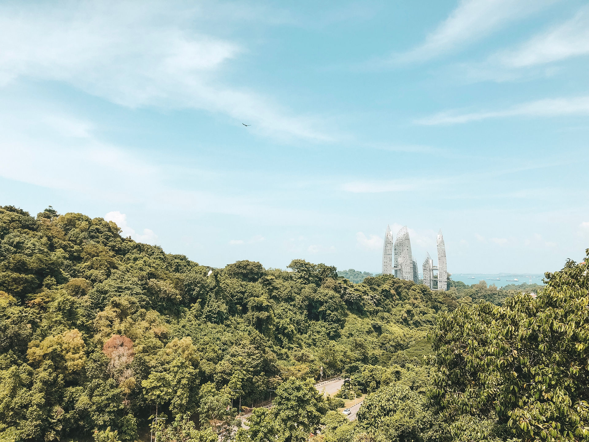 Henderson Waves Southern Ridges Singapore view Keppel bay