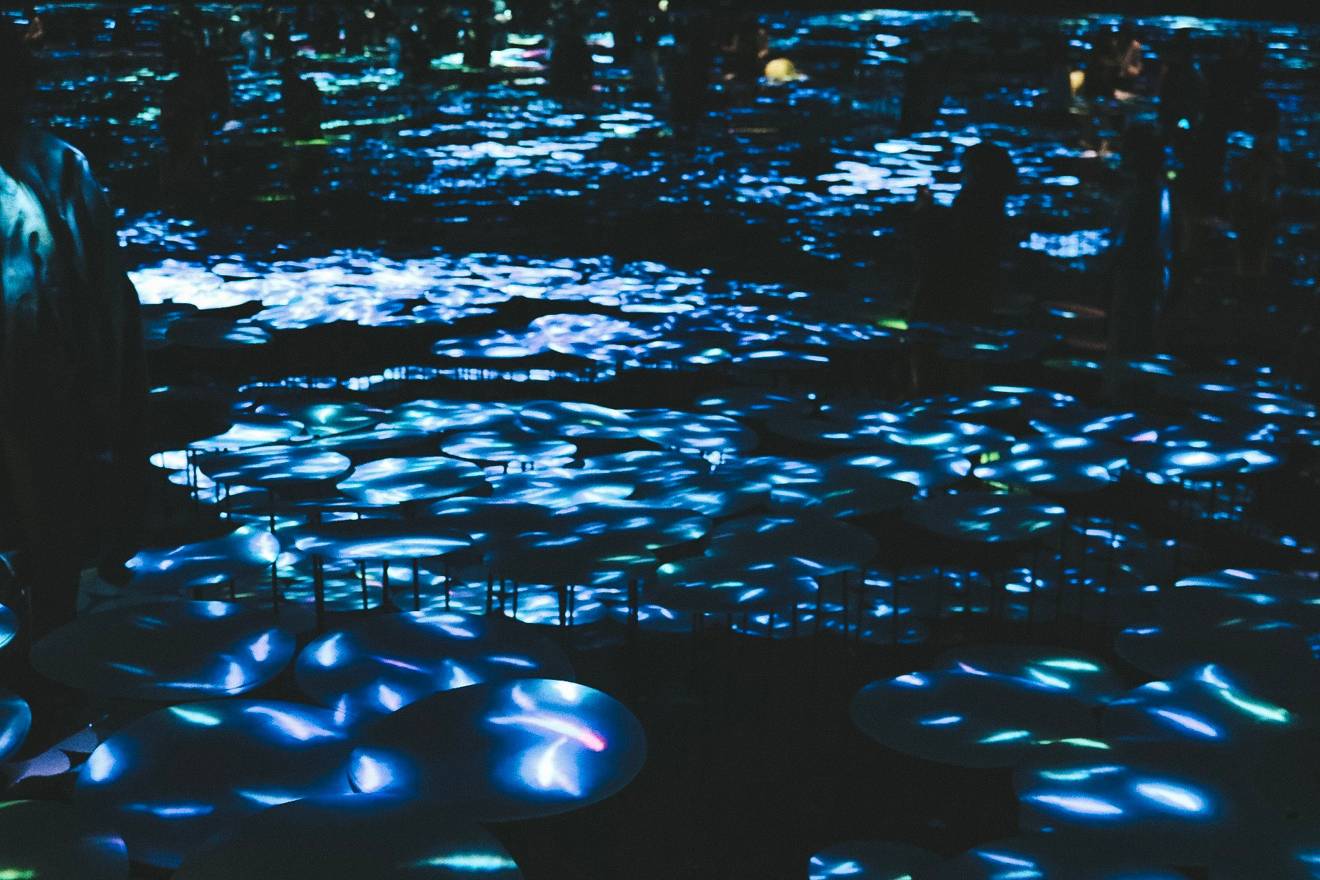 teamlab boarderless digital art museum tokyo travel guide