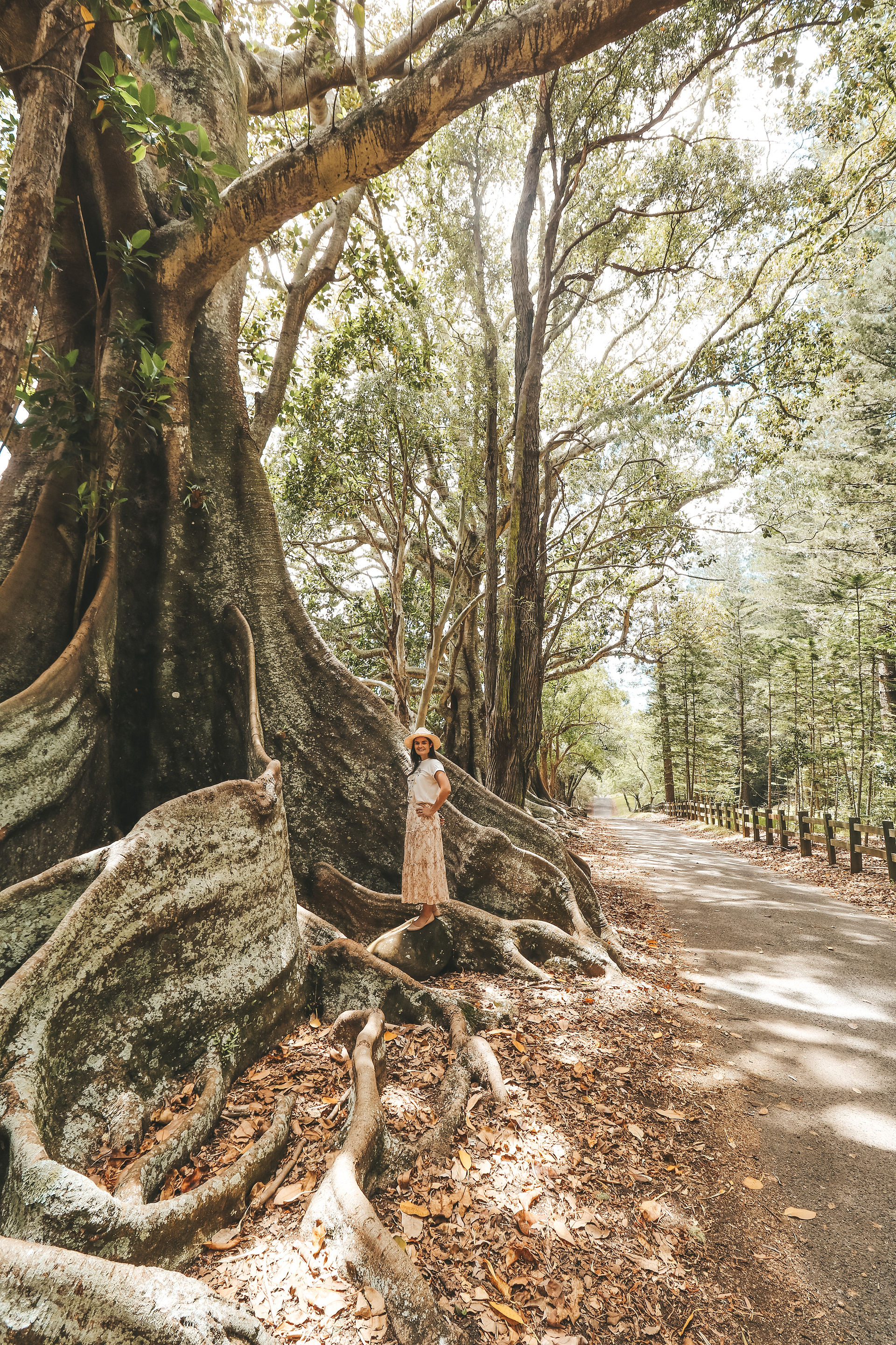 100 Acre Reserve Norfolk Island