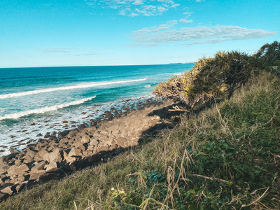 Burleigh Headland National Park trail
