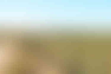 Wild Horse Mountain scenic lookout sunshine coast glass house mountains