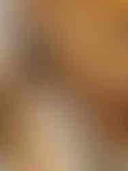 Ovolo Nishi NewActon Precinct Canberra hotel