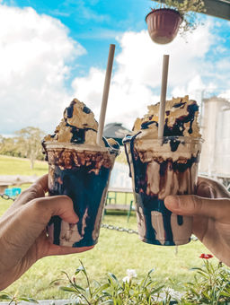 Maleny Dairies, Dairy Farm, Sunshine Coast Hinterland, milkshake