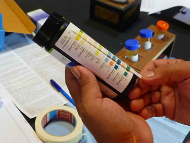 Elephant urine analysis