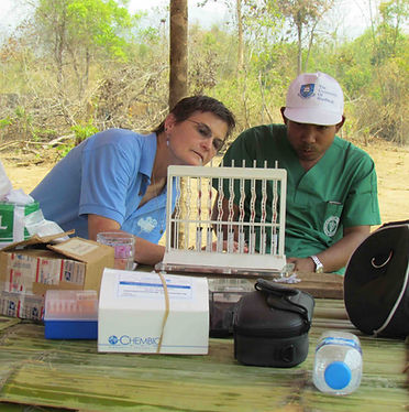 Elephant field lab Myanmar