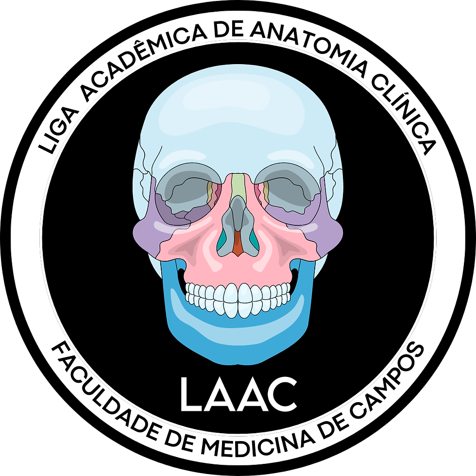 Liga Acad Anatomia Clínica