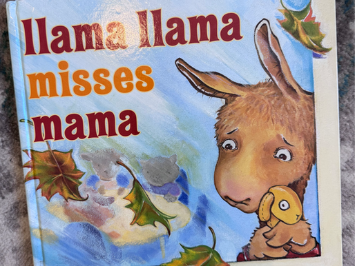 Back to School Books