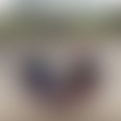 Tokyo Marathon training week 10: December 30 – January 5