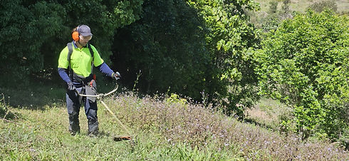 brushcutting