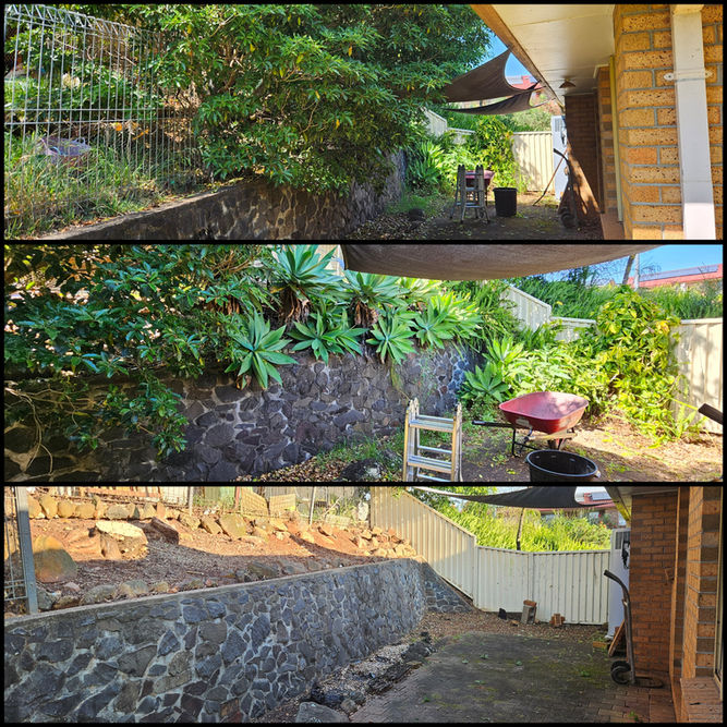 garden before after