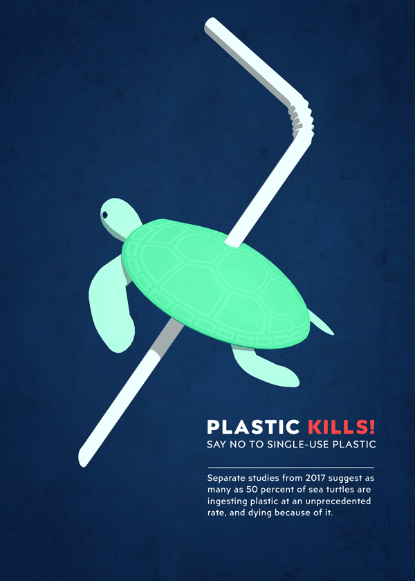 Turtle poster