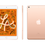 Thumbnail: iPad Mini