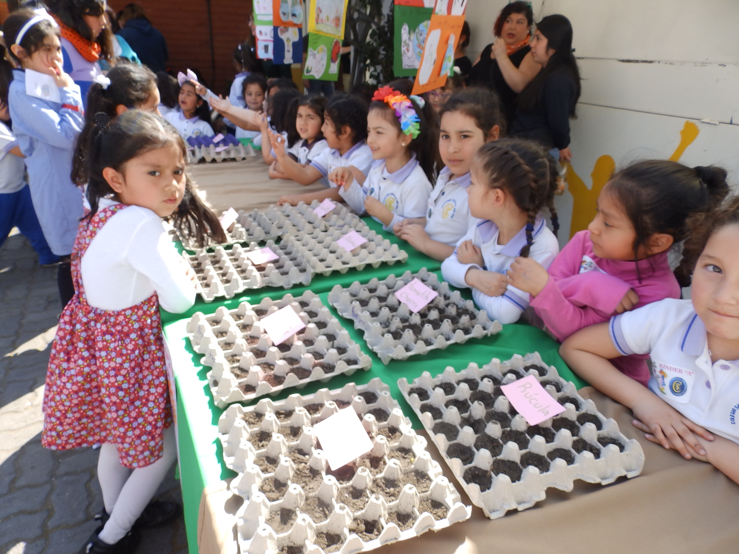 Feria Científica 2019